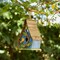 Set of 2 9.5''H Distressed Solid Wood Decorative Outdoor Garden Birdhouse with Natural Wood Slatted Roof and 3D Tree